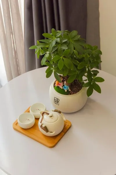 Hera Hotel Airport – 사진 7