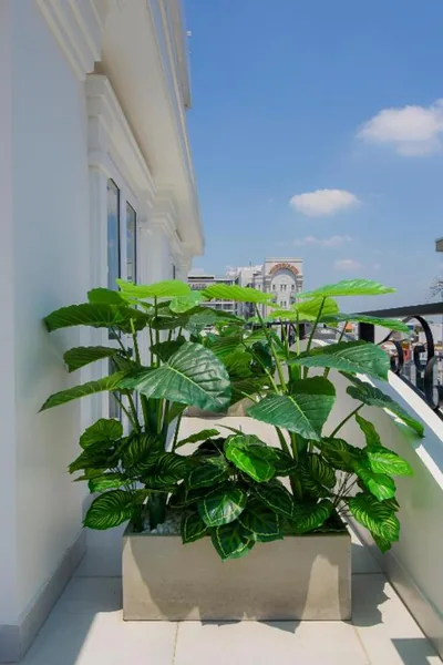 Hera Hotel Airport – 사진 14